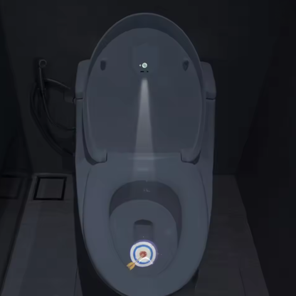 Smart Toilet Light