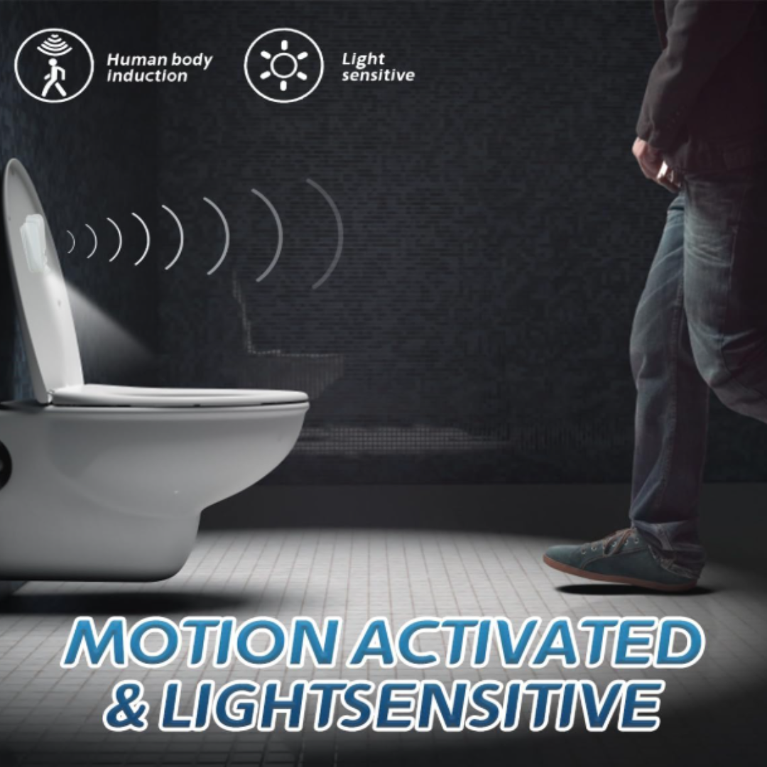 Smart Toilet Light