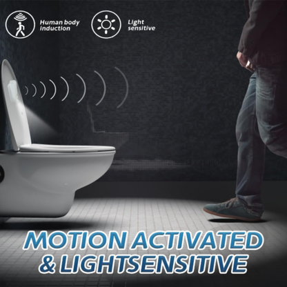 Smart Toilet Light